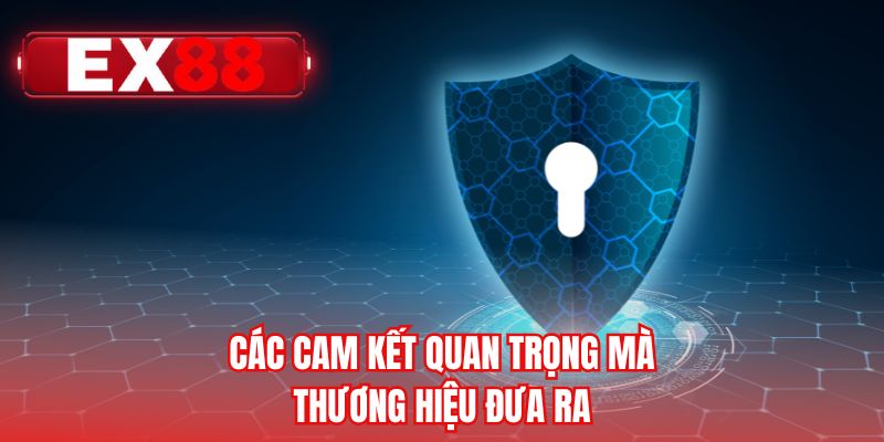 Các cam kết quan trọng mà thương hiệu đưa ra